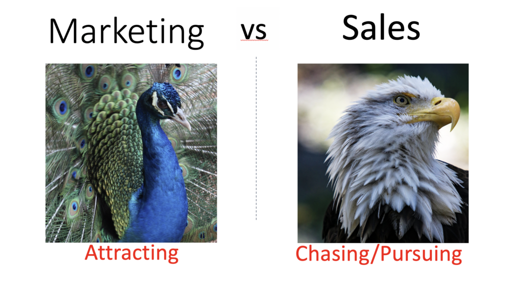 Peacock and Eagle Marketing vs Sales